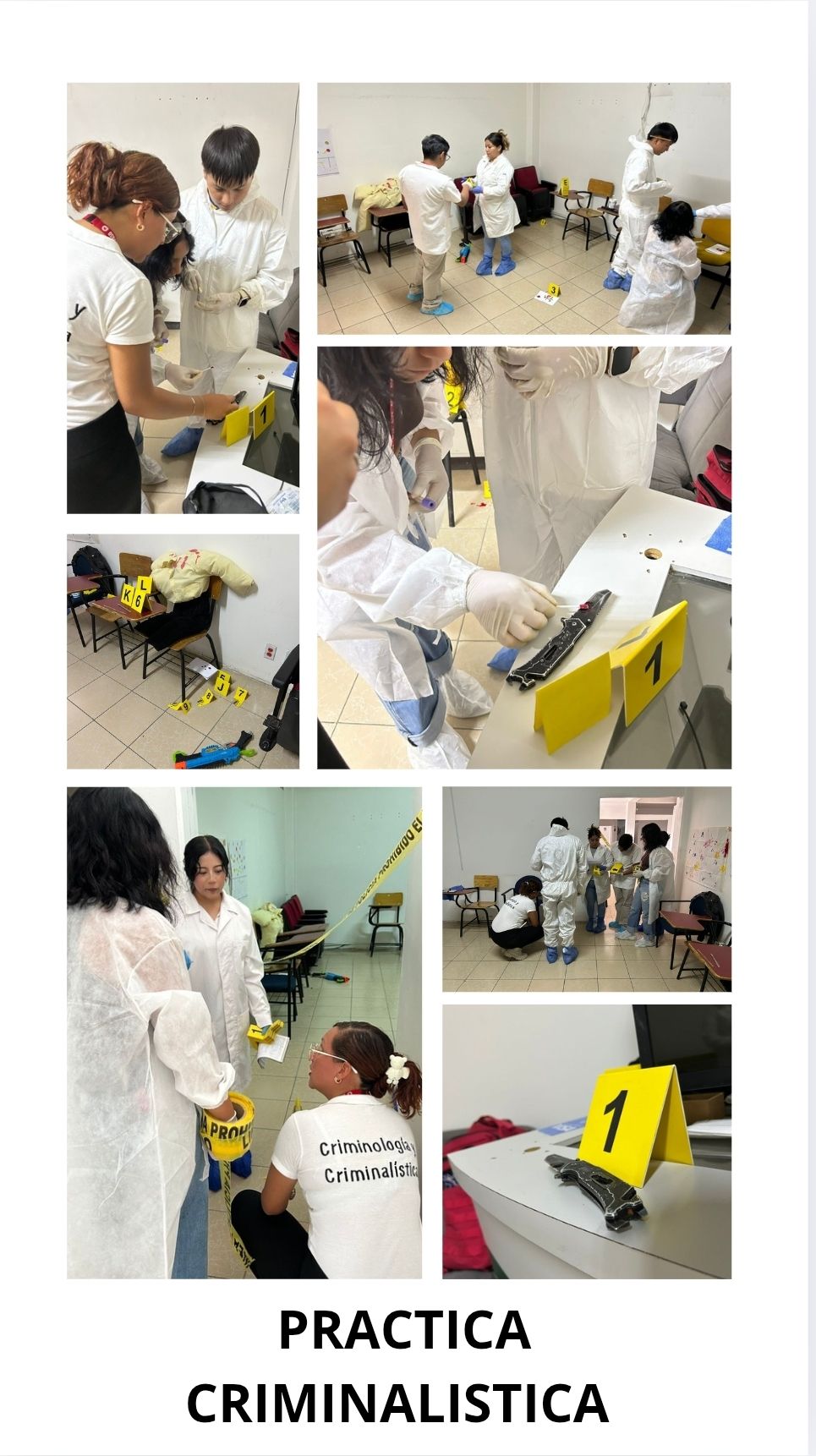 Descripción de la imagen 2