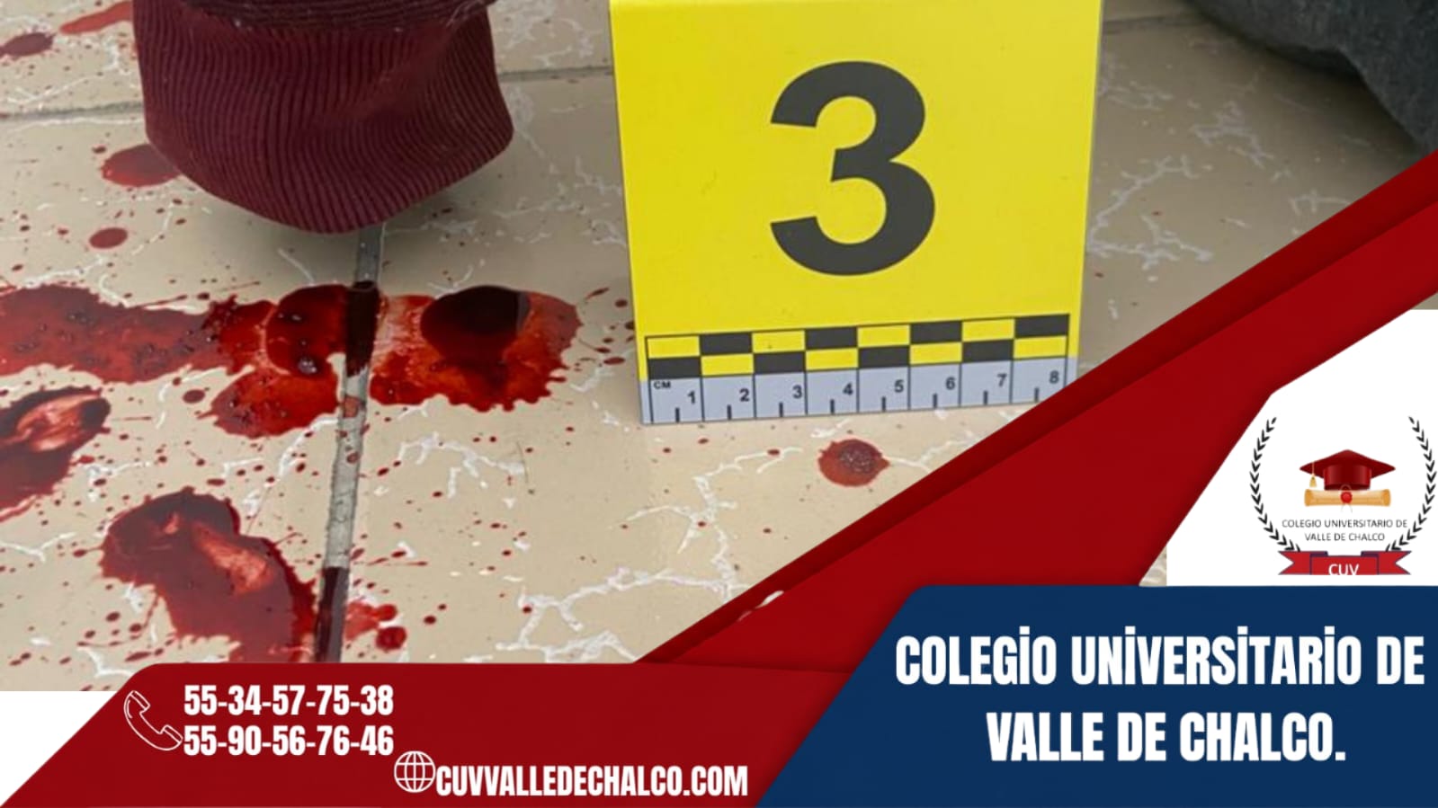 Imagen del evento